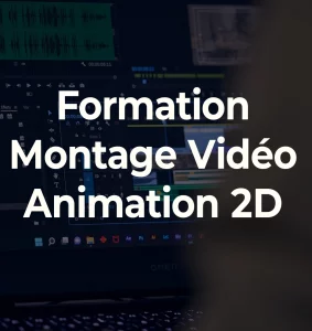 formation vidéo montage animation 2D